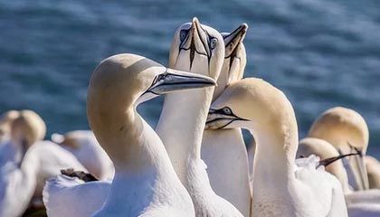 AYX GAMING-【青训基地】培养未来明星的青训体系揭秘，青训新星