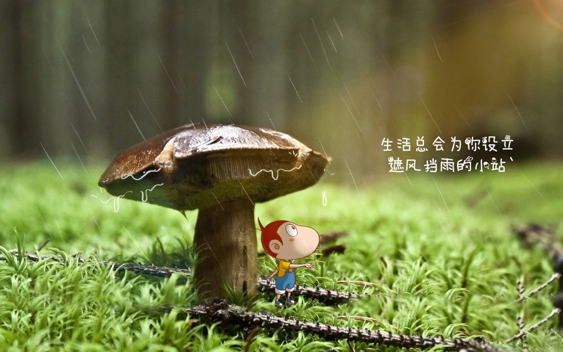 LCS赛区面对亚洲强队挑战，lcs赛区比赛