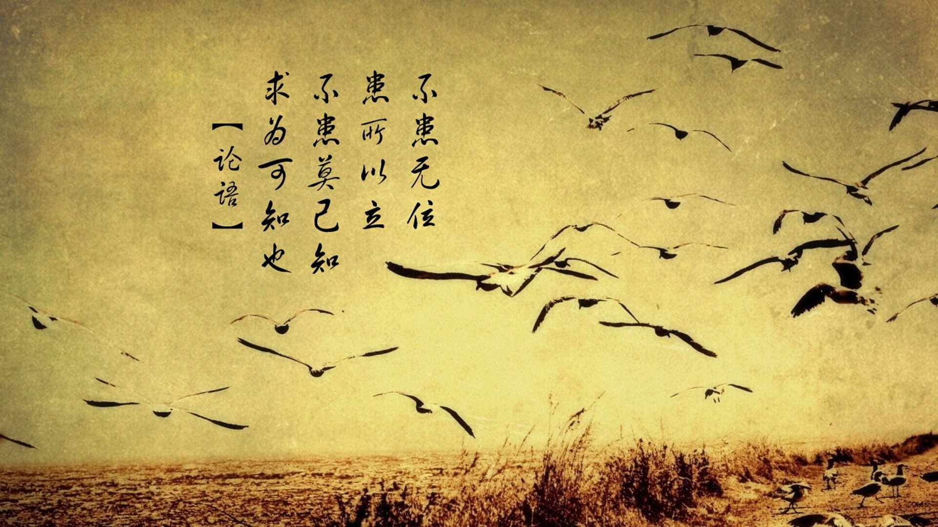 土耳其主场大胜威尔士，卫冕欧锦赛出线希望，欧冠土耳其威尔士