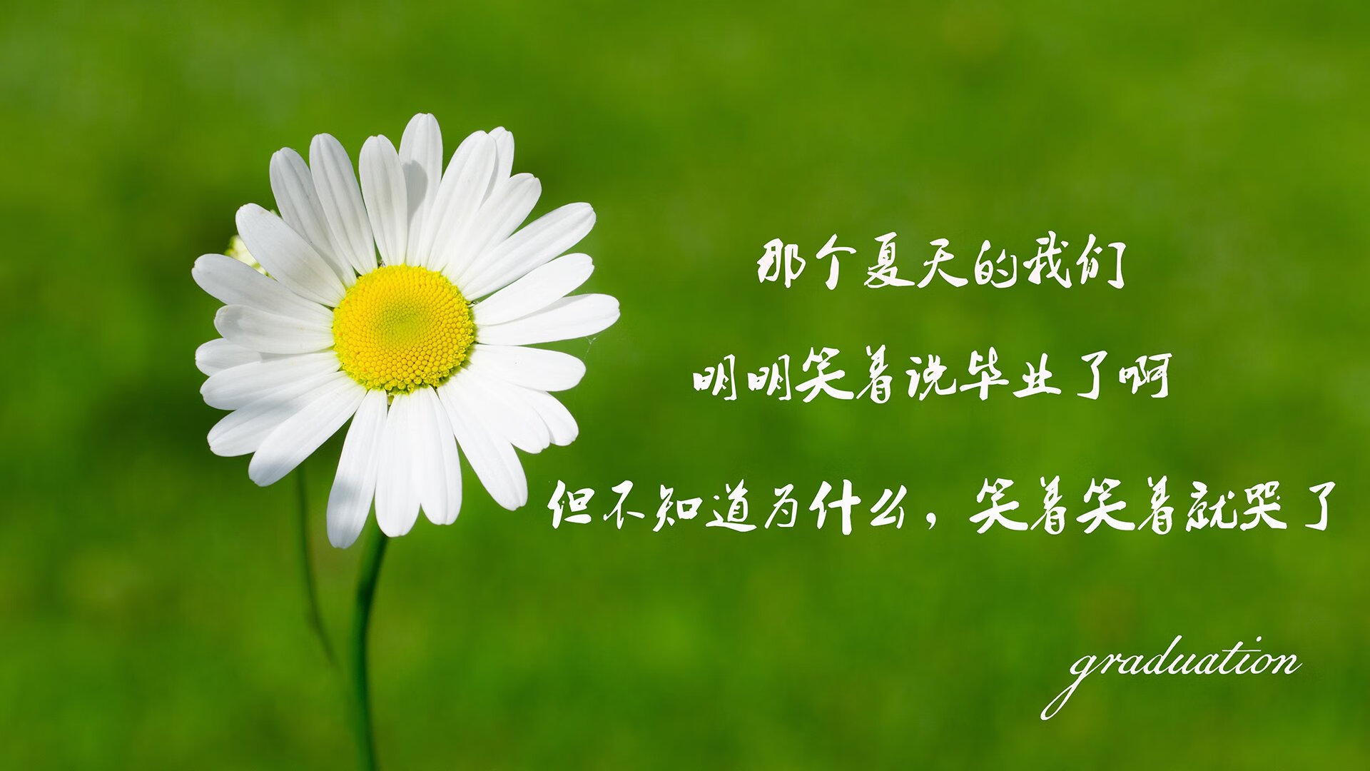 意甲球队宣布与赞助商签下了长期合同，意甲各队赞助商