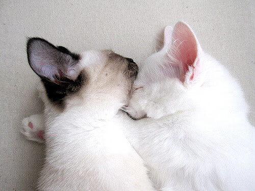 AYX官网-中国男篮积极引入高科技设备辅助训练，中国男篮要求