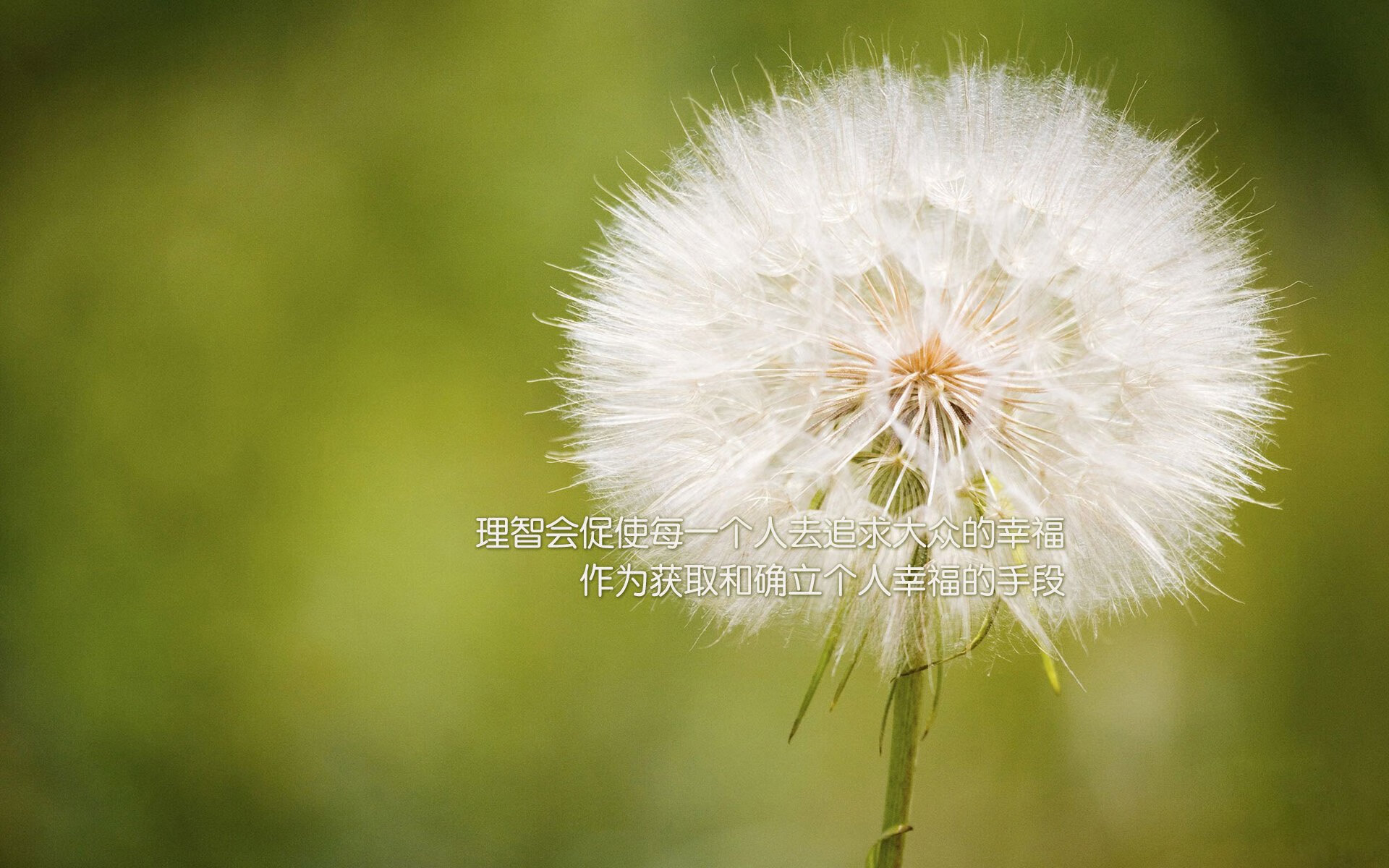 国家队防守体系漏洞频繁,防守反击国家队