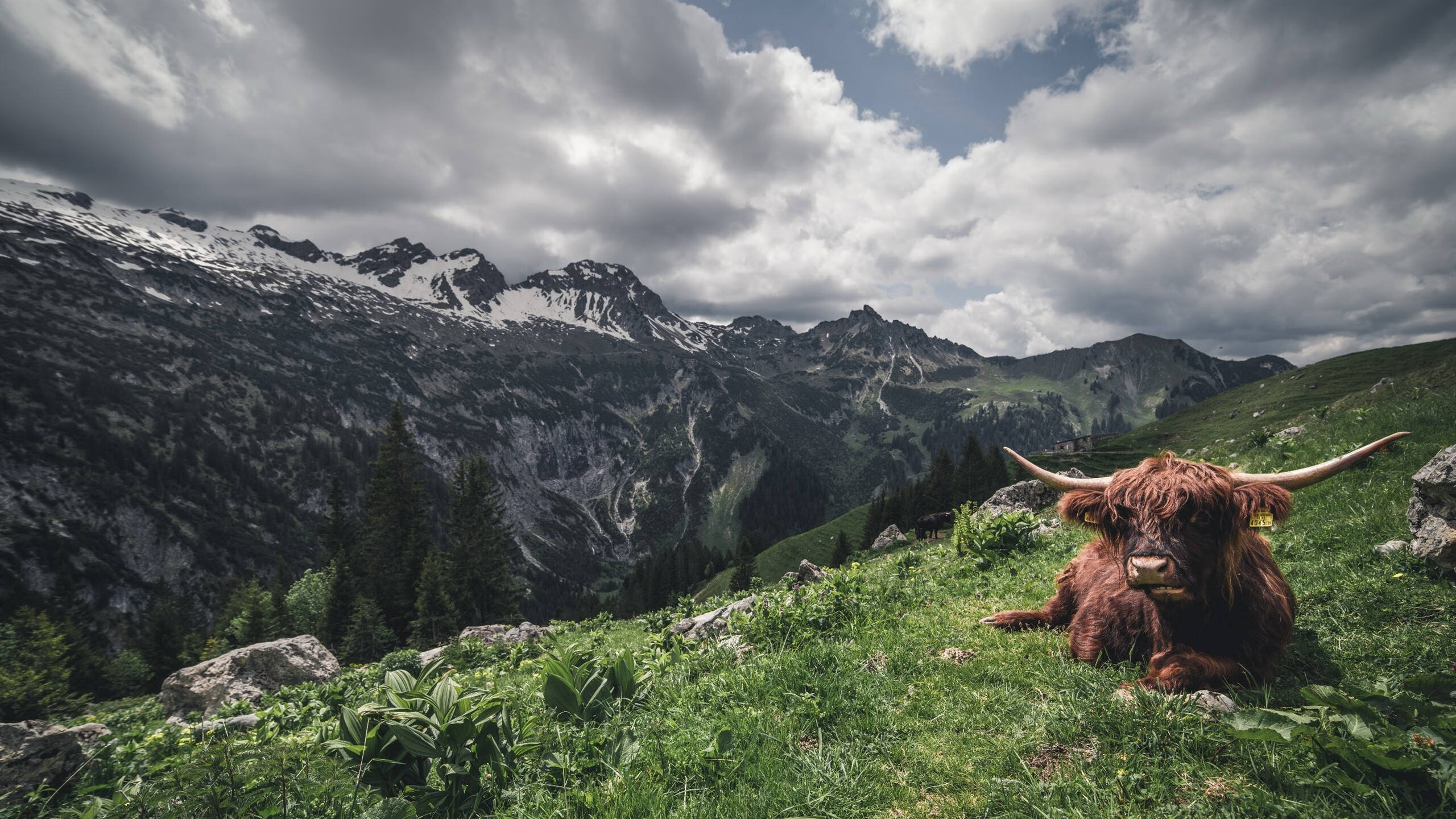 爱游戏登录入口-国家队备战缺少科学训练方案，国家队备战缺少科学训练方案是什么