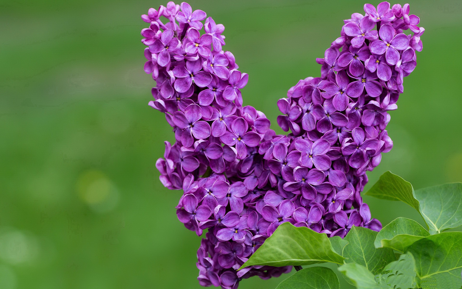 AYX官网-恩波利后防组合默契显著提升防守质量，恩波利主帅