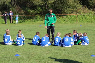 爱游戏 电竞-新加坡队在国际乒联混合团体世界杯的战术执行力与技术突破，乒乓 新加坡