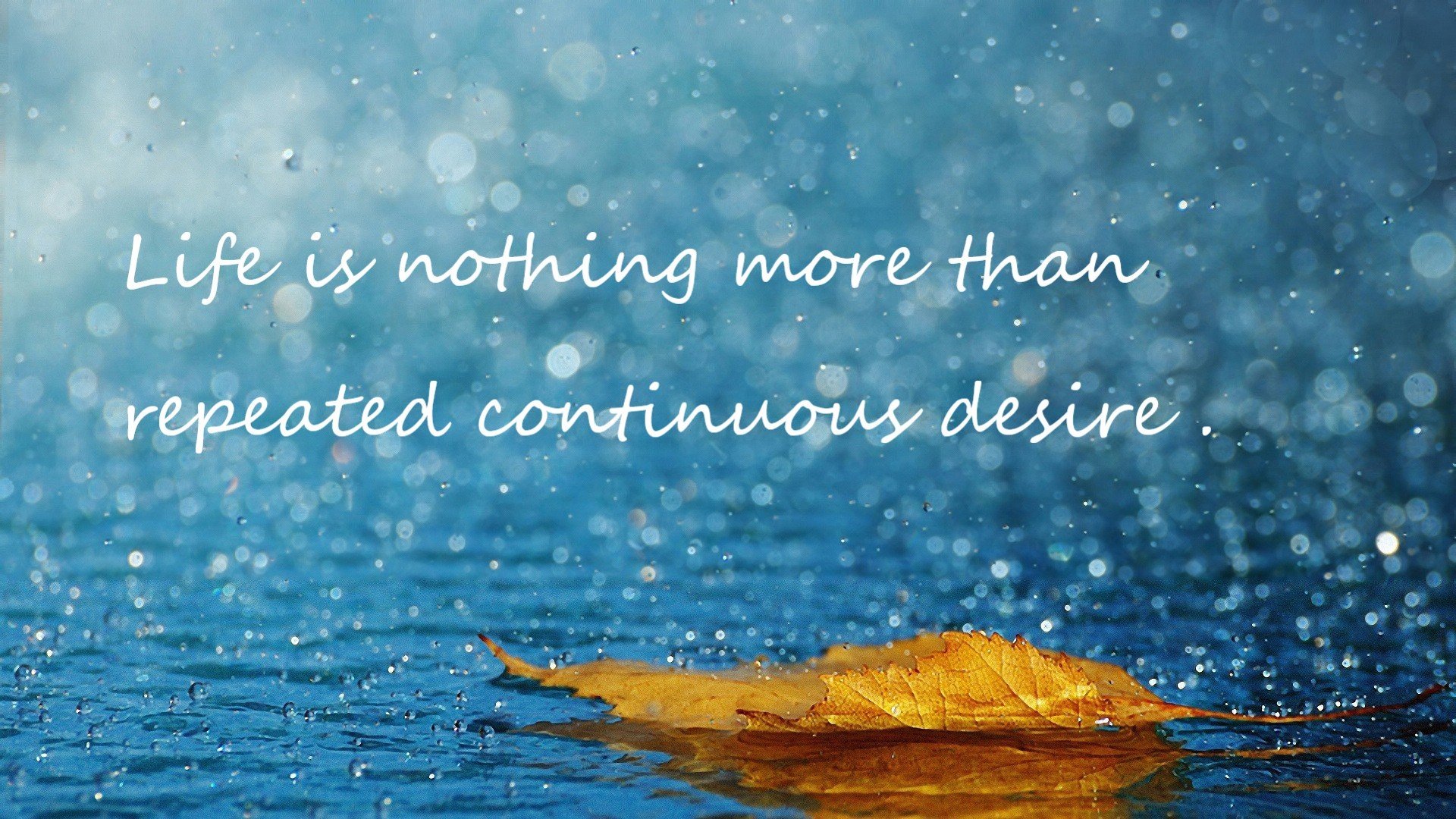 跨界合作打造篮球与娱乐融合新IP，跨界篮球中心