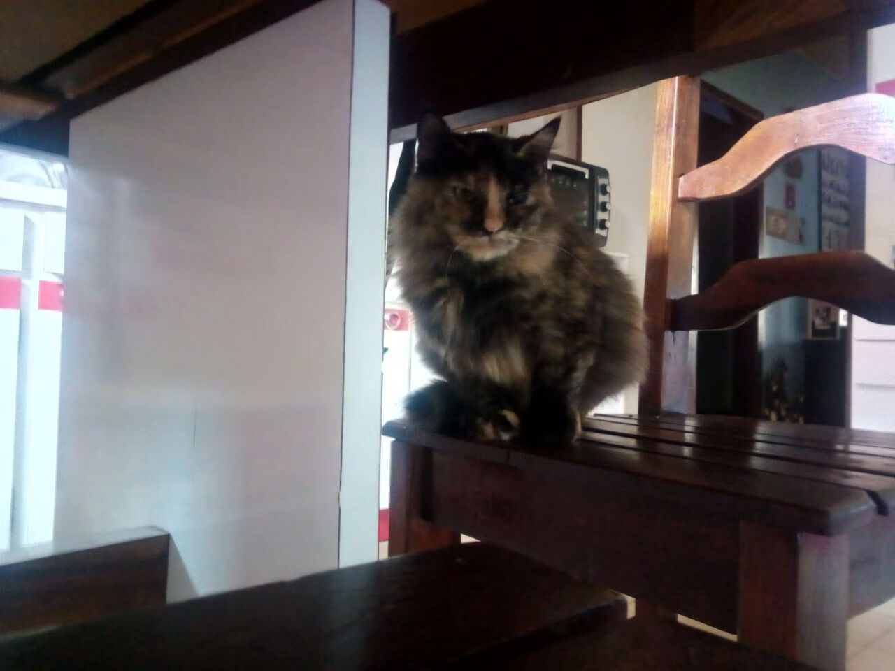 利物浦欧冠征途逐步展开,追逐欧洲荣耀