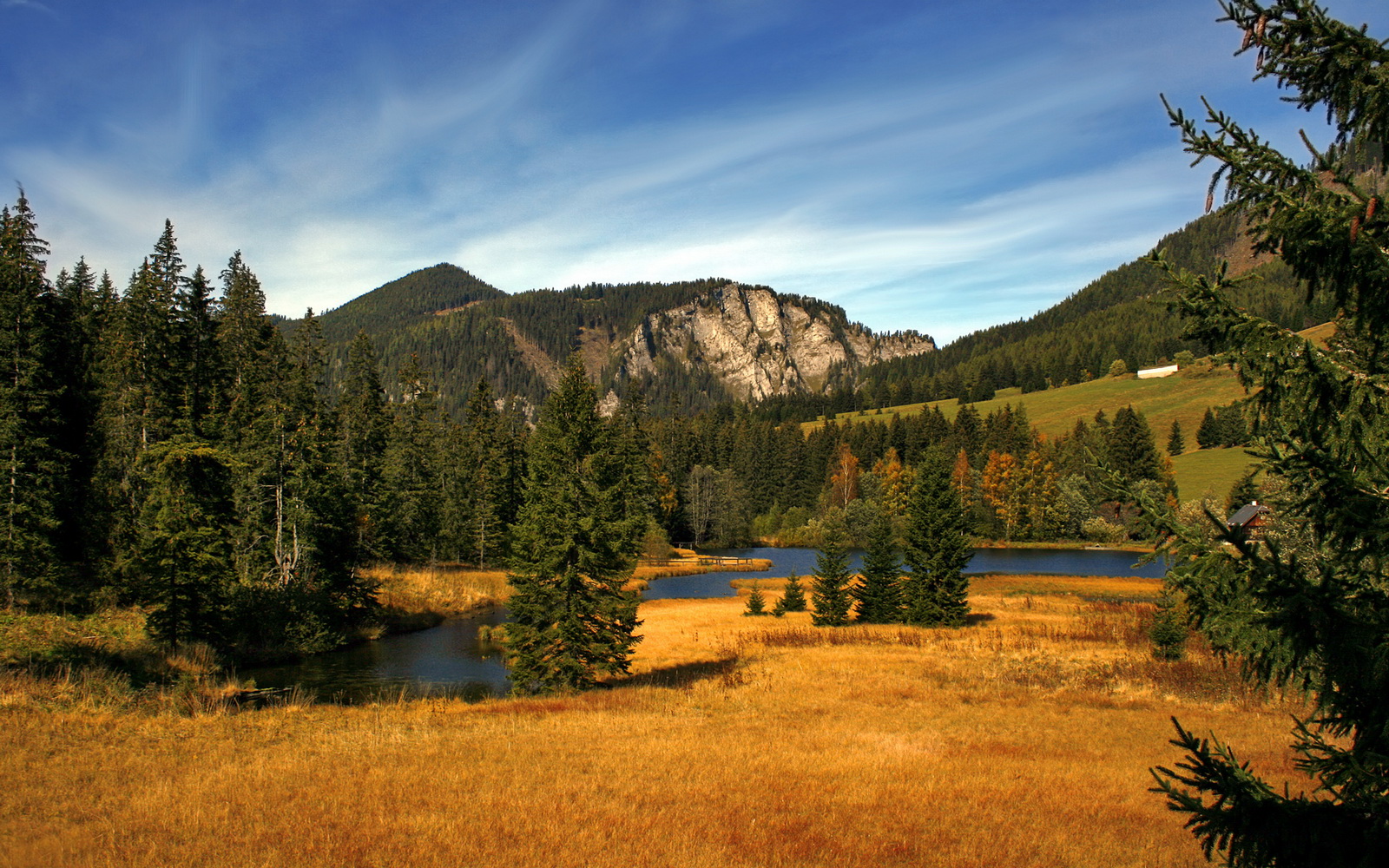 爱游戏中国官方登录入口网站-唐纳德·高尔的精彩进攻演绎，点亮袋鼠队全场表现，唐纳德高德纳