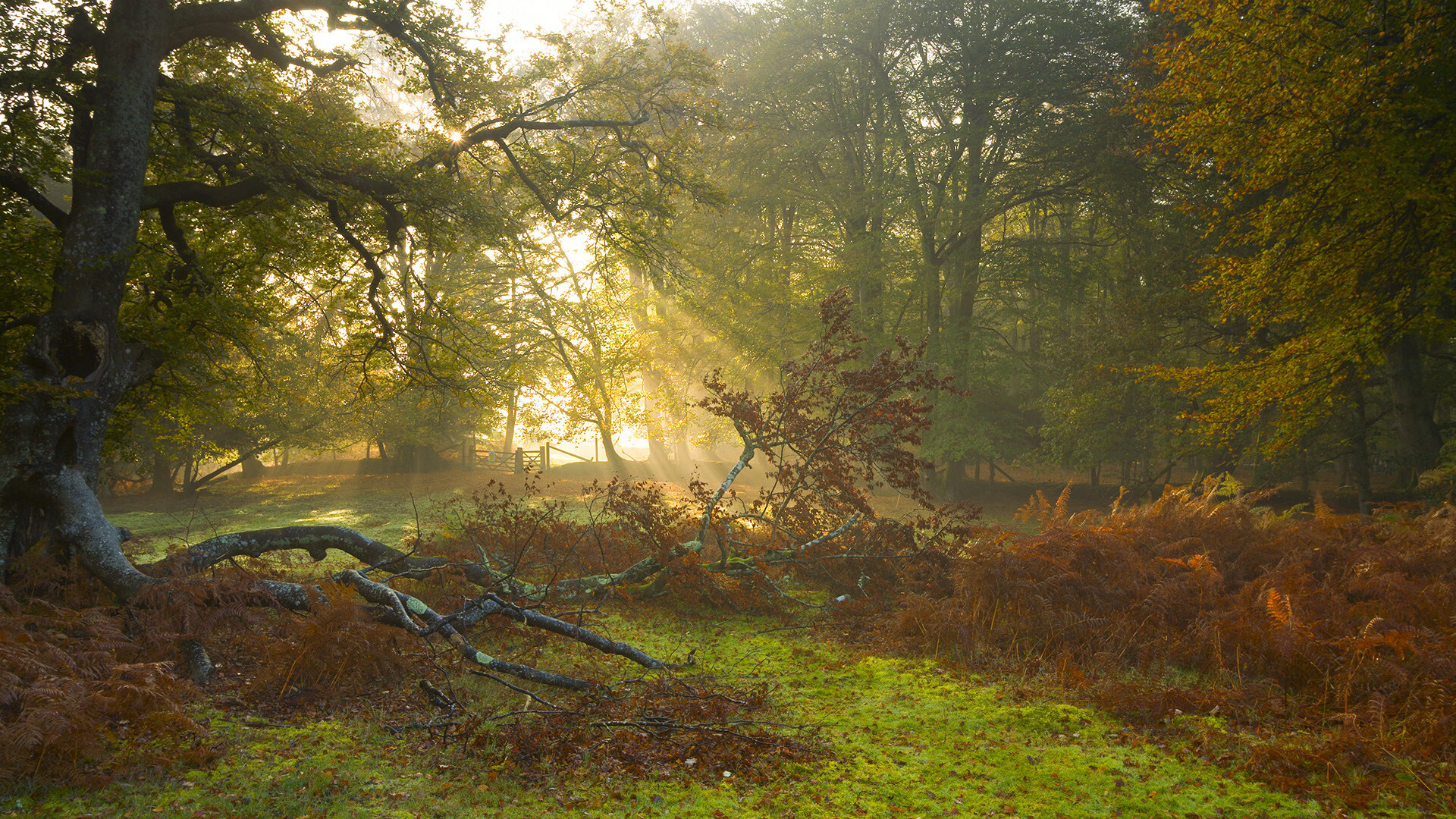 女子篮球训练注重防守协作提升防守水平,女子篮球防守视频