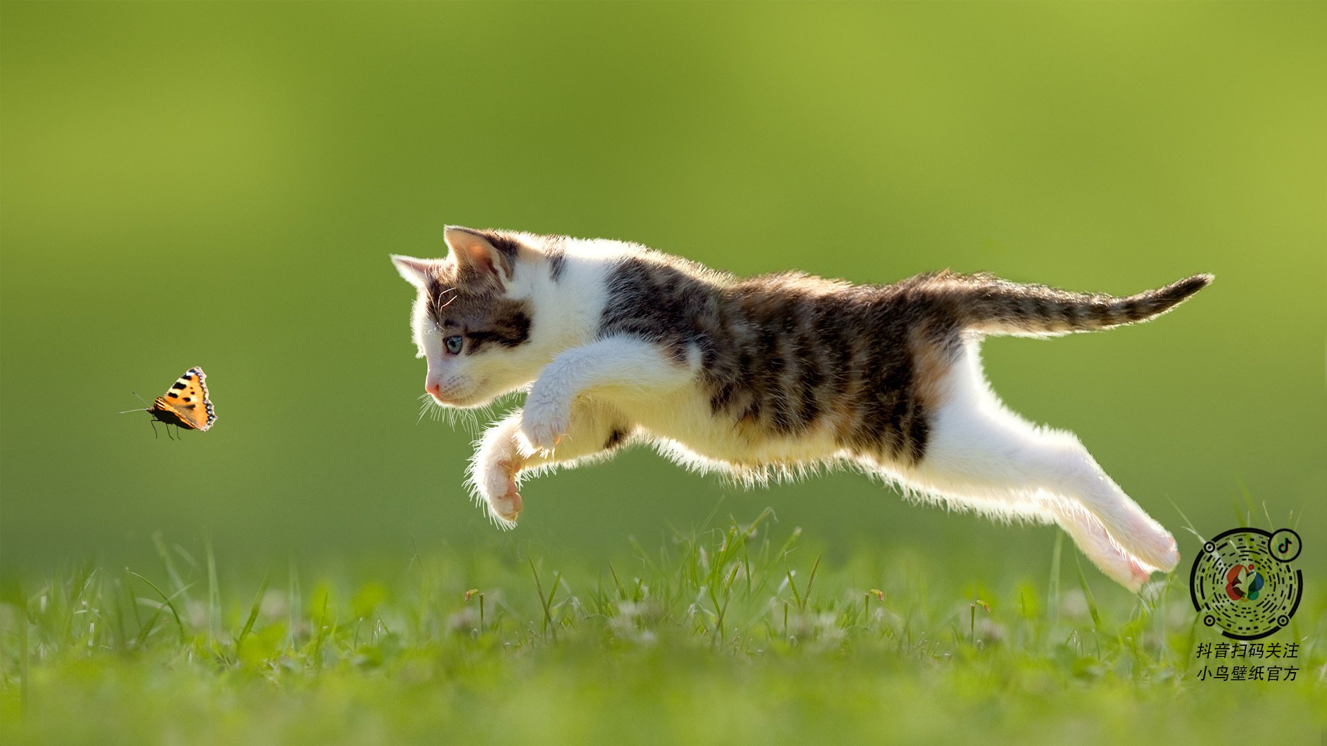 爱游戏官方网站-格林伍德全场防守表现稳健，成为袋鼠队攻防转换的关键节点，格林伍德球员