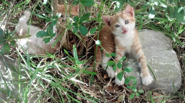 滑行段速度控制精准,节奏稳定,滑行时间定义