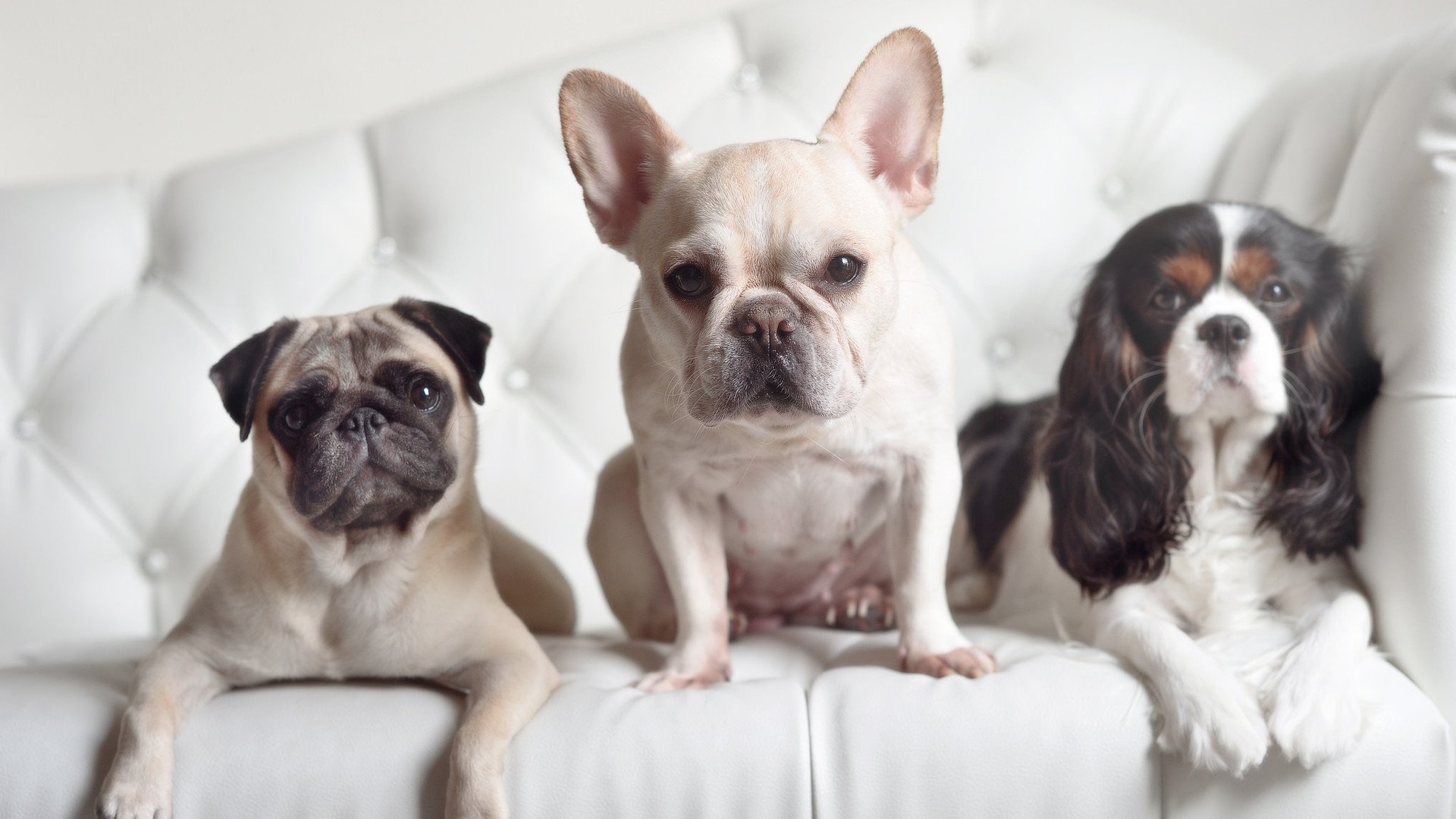 谷爱凌带队赴高原训练提升核心力量，谷爱凌2020年采访视频